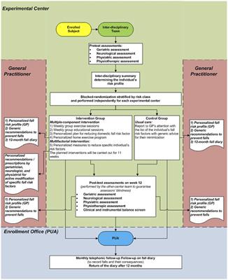 Efficacy of a multiple-component and multifactorial personalized fall prevention program in a mixed population of community-dwelling older adults with stroke, Parkinson's Disease, or frailty compared to usual care: The PRE.C.I.S.A. randomized controlled trial